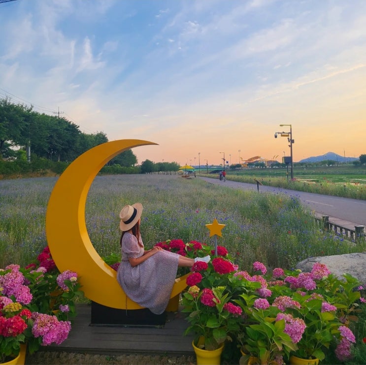 6월 첫째주 여행 장성, 고창, 영광, 나주, 해남