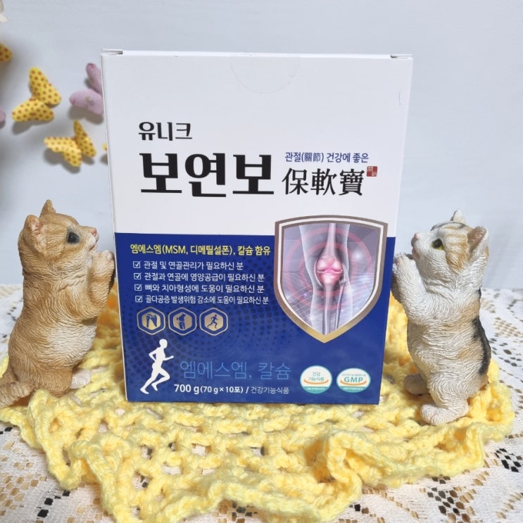  무릎 관절 영양제 추천 보연보 먹고 정상 가자~
