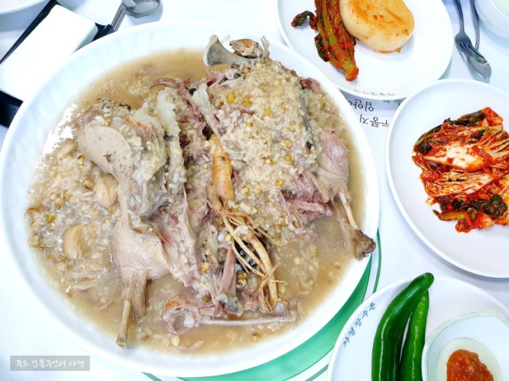  청주 오리백숙 맛집 본가 가경장수촌 부드러워 살살녹네