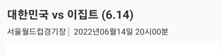  이집트 평가전 티켓팅 성공 6월14일 직관하고 오겠습니다