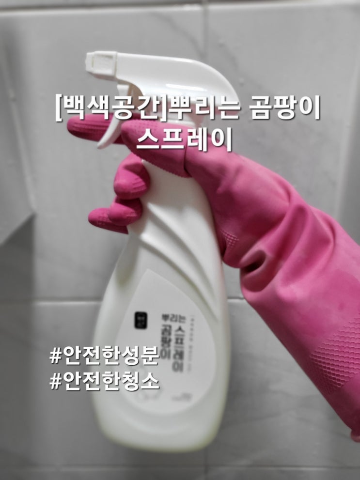  곰팡이제거제 뿌리고 간단한 솔질만으로 깔끔하게 제거가능하네요!