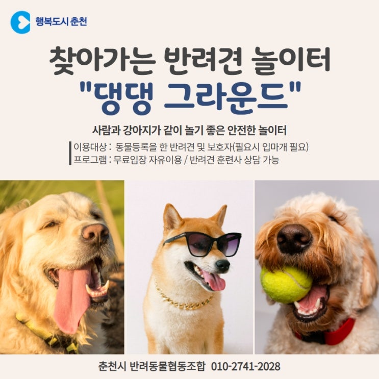  춘천시 찾아가는 반려견 놀이터 댕댕그라운드