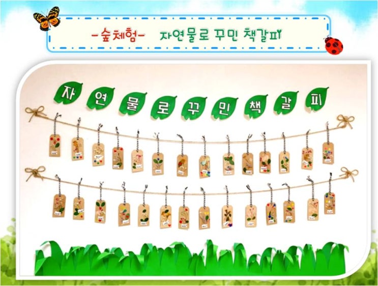 동식물과자연 참여수업준비