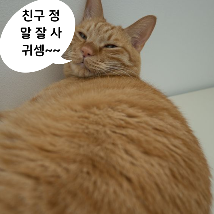  [말풍선 짧은 글]  친구