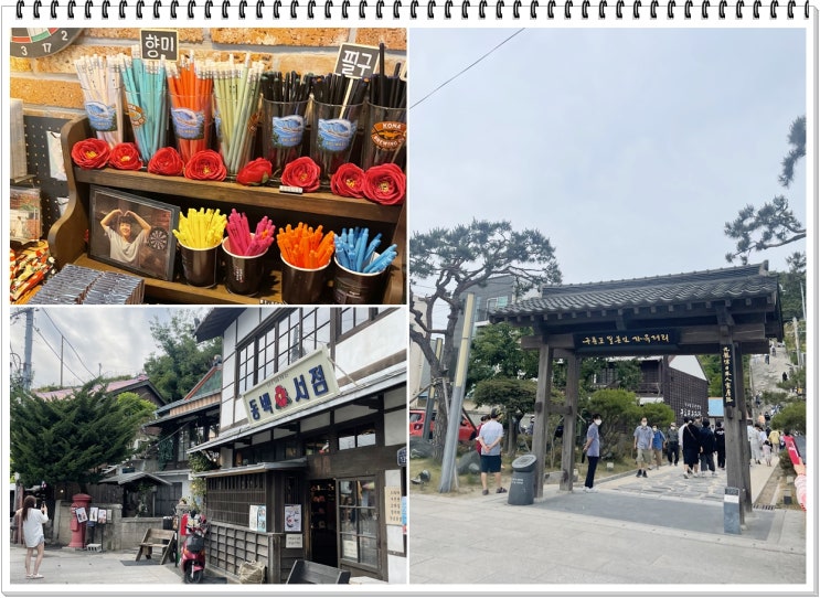  부산근교여행 포항당일치기 여행 포항맛집 구룡포일본인가옥거리--> 새천년회대게물회 다녀왔어용