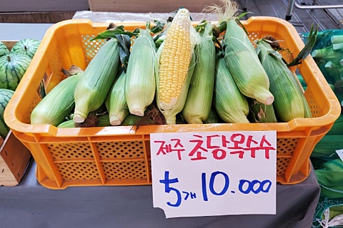 오늘청과2 이미지