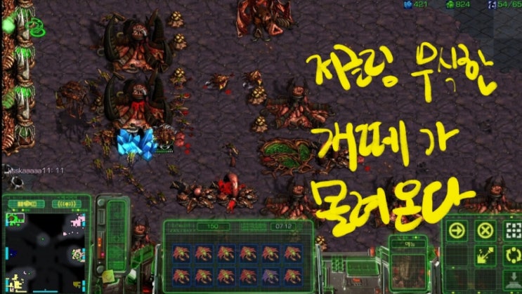  스타크래프트 빨무 저글링개떼가 무식하게 몰려온다. [빨무살아남기]