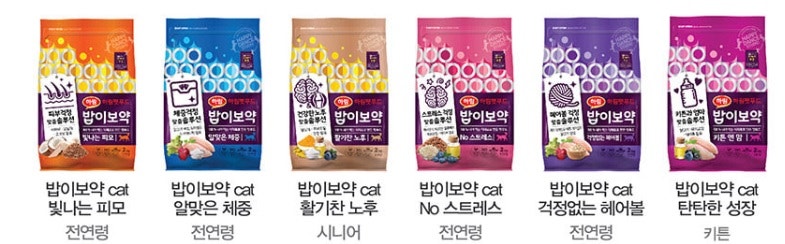 사진 5