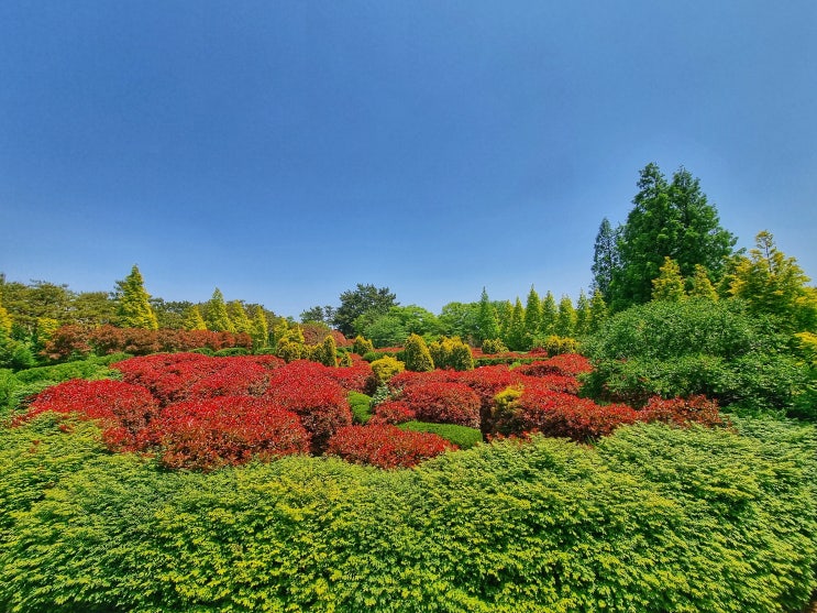  태안 청산수목원...