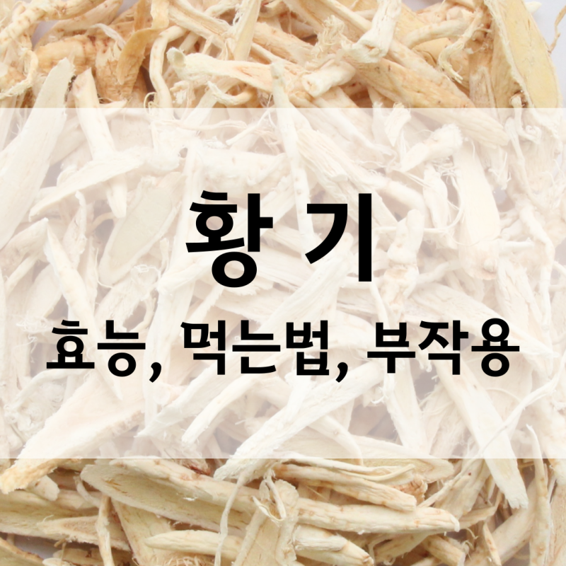 여름철 기력 회복 약재 황기 효능효과 먹는법 부작용