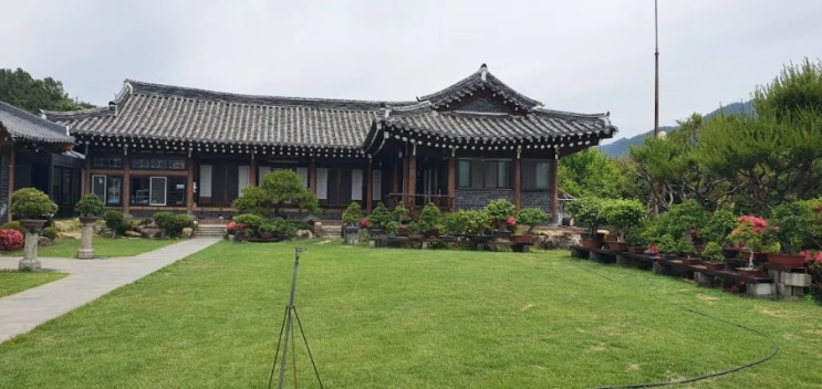 전남 강진 맛집 청자골종가집 한정식 맛집 전남 강진 맛집 청자골종가집 한정식 맛집