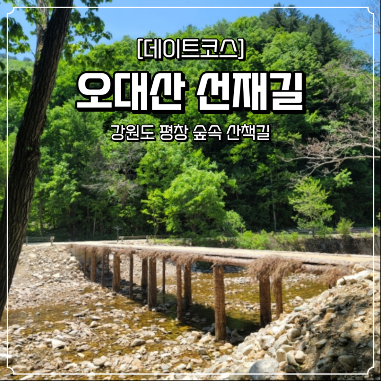  평창 가볼만한곳 오대산 선재길