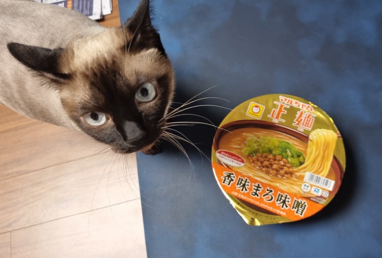 일본 컵라면 마루짱 쇼멘 미소 시식 후기 일본 컵라면 마루짱 쇼멘 미소 시식 후기