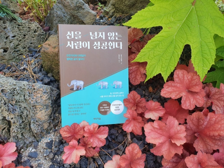  책 리뷰- 선을 넘지 않는 사람이 성공한다