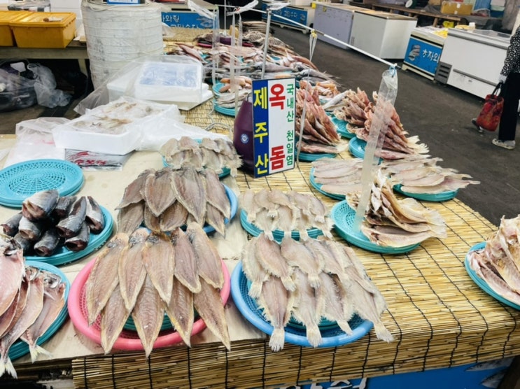  (제주 가볼만한 곳) 서귀포향토오일장 _ 제주 옥돔 구매 _ 한달살기