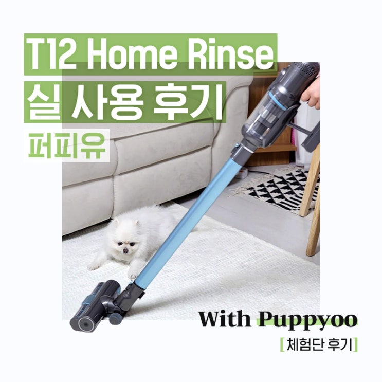 T12 Home Rinse 실제 사용 후기 모음.zip1