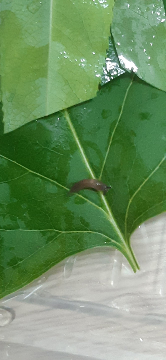  충남대 아싸의 주간 일기 챌린지 - 새로운 친구 만들기