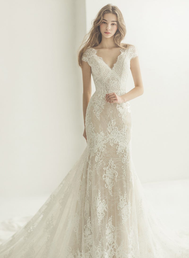 웨딩드레스소매 길이부터 디자인까지 총정리♥ 이것만 알면 웨린이 탈출~! : 네이버 블로그, image size:800x1091