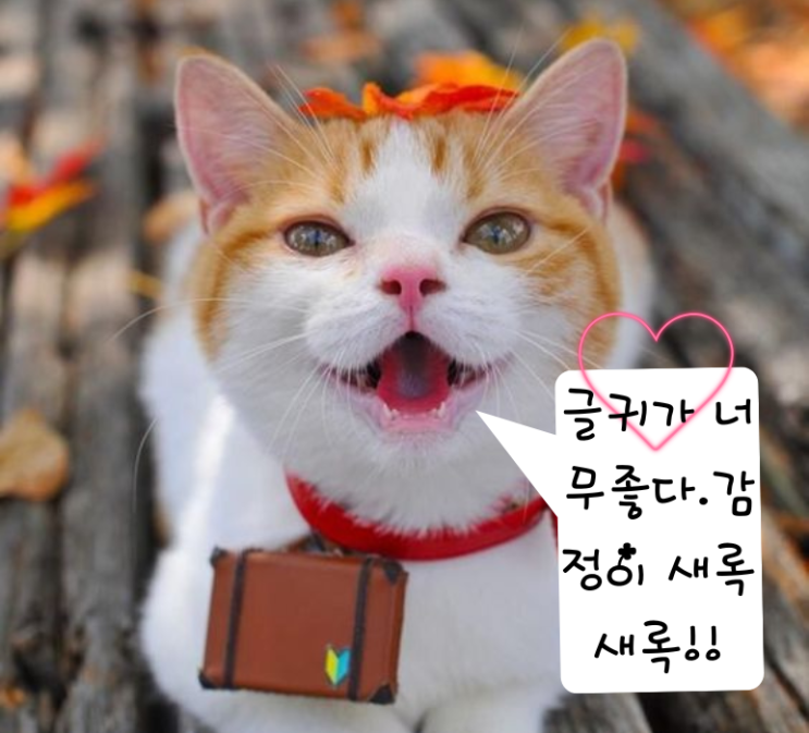  [말풍선 감성 글귀] 망설