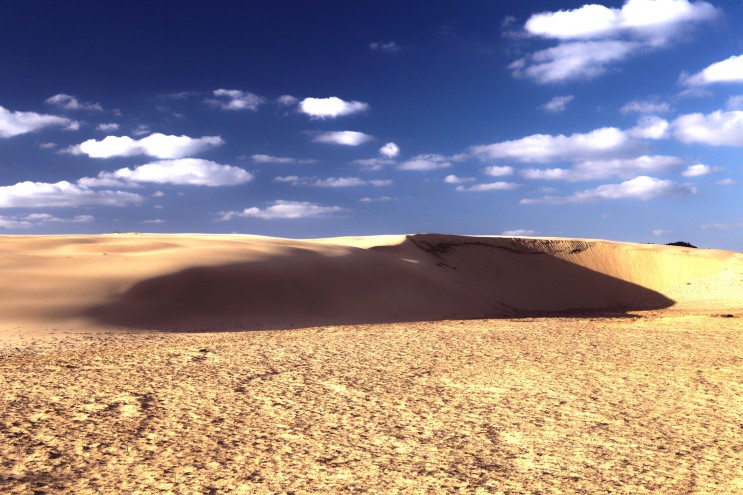세계사막화방지의 날, 생태계 복원을 위한 10가지 행동 강령