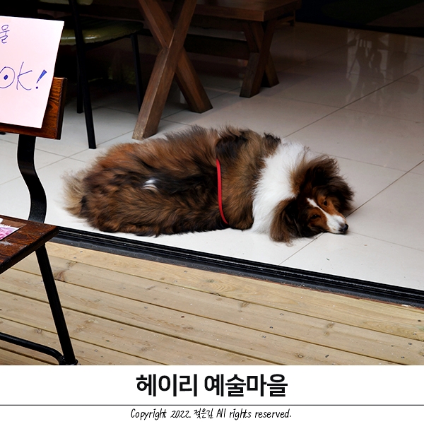 파주 헤이리마을 주차 입장료 공유해요 파주 헤이리마을 주차 입장료 공유해요
