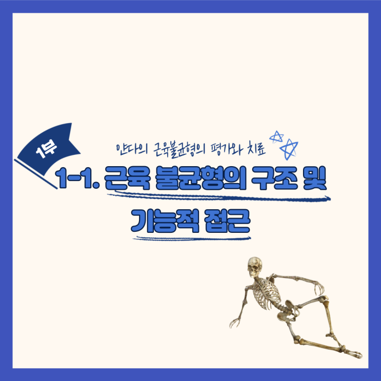  1-1. 근육 불균형의 구조 및 기능적 접근