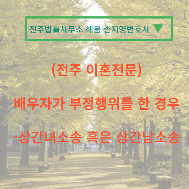  전주이혼전문 손지영변호사의 배우자가 부정행위를 한 경우(상간녀 상간남소송)