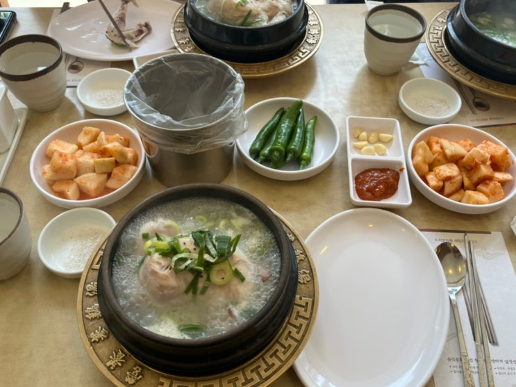  청담역에서 점심 먹기 (밥집 8개 모아보기)