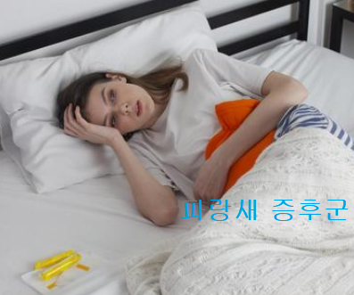  직장인들 많이 가진 파랑새 증후군 원인 해결법