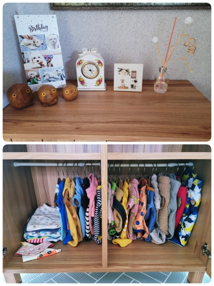  마켓비 수납장으로 강아지 (애견, 애묘) 옷장 만들기! 내돈내산 조립하기 추천!