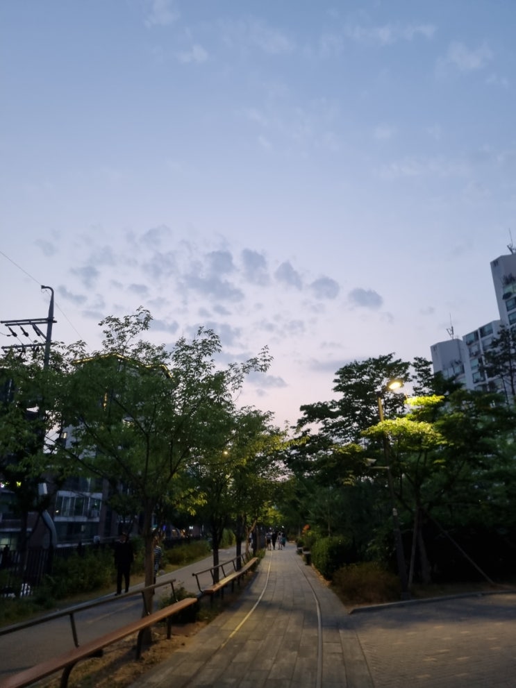  #주간일기 6/7-6/12 마지막 재택주