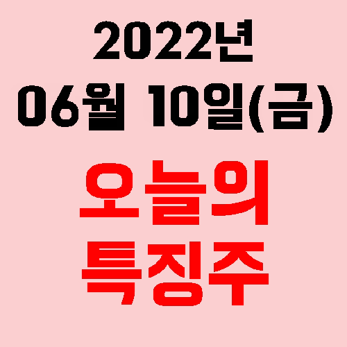  오늘의 시장 특징주 2022년 06월 10일(금)