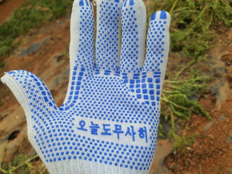 마카는 이름 지어불고 마카는 이름 지어불고