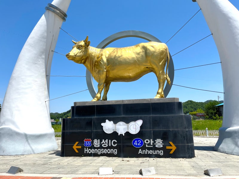 횡성한우직판장 횡성 축협 한우프라자 본점 부시모듬 후기 1