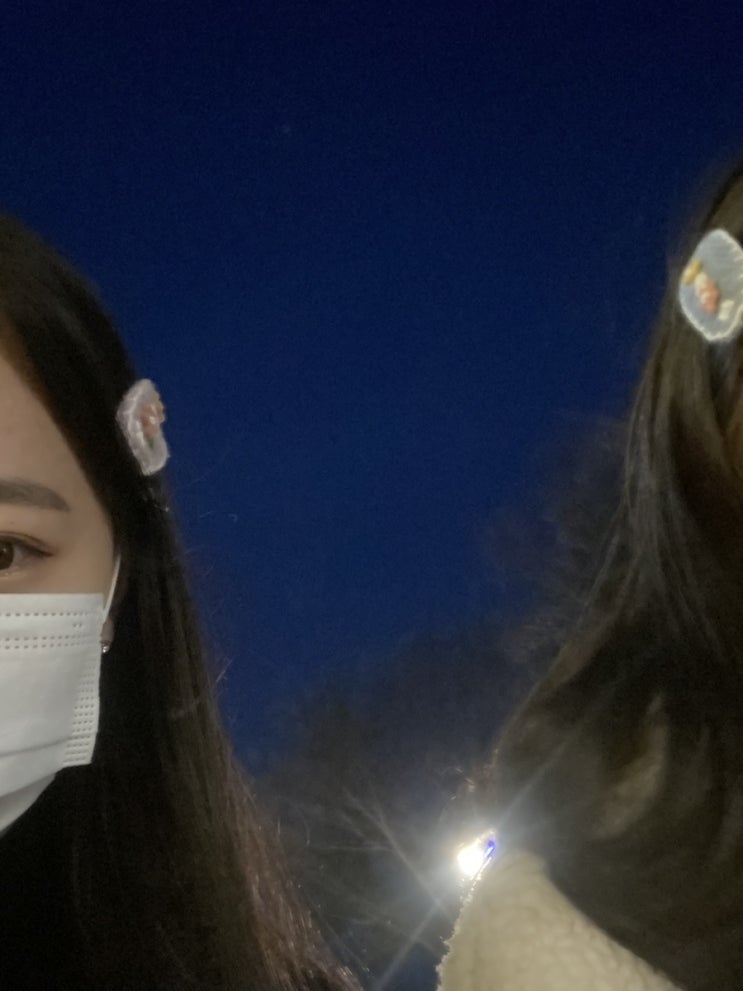  6월 첫째 주