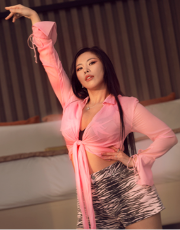  플라이투더댄스 '가비비자거절이유'