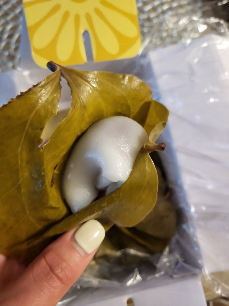  의령 망개떡 [3대를 이은 전통]