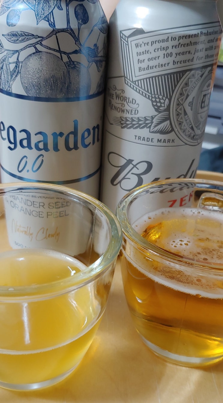  먹어봄] 신상 무알콜맥주 호가든 무알콜 버드와이저 넌알콜맥주 제일 맛있는 무알콜맥주는?feat.롯데마트