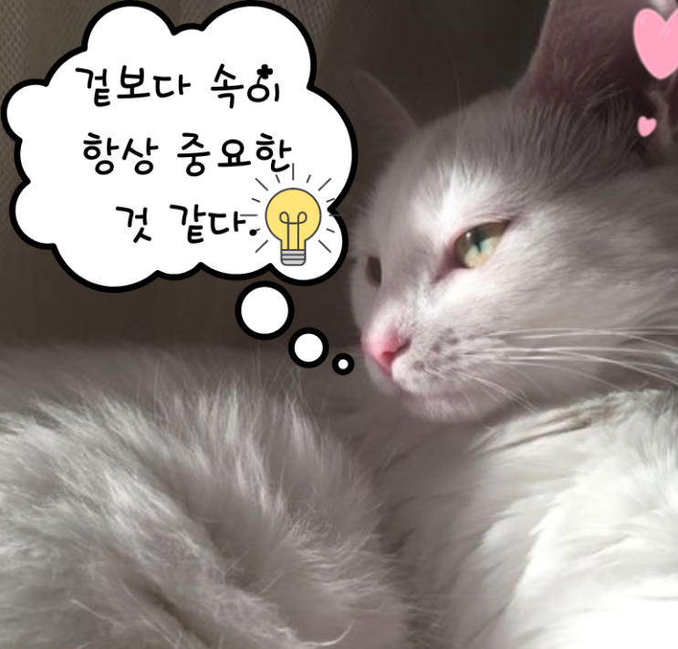  [좋은 글귀] 겉보다 속입니다.