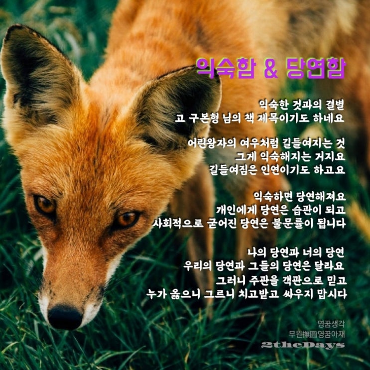  익숙함과 당연함, 어린왕자의 길들여짐에 대한 짧은 글