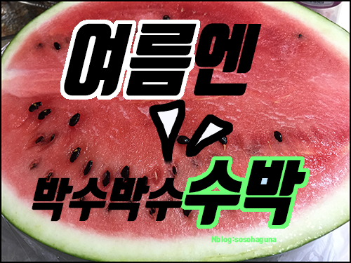  여름엔 역시, 수박!