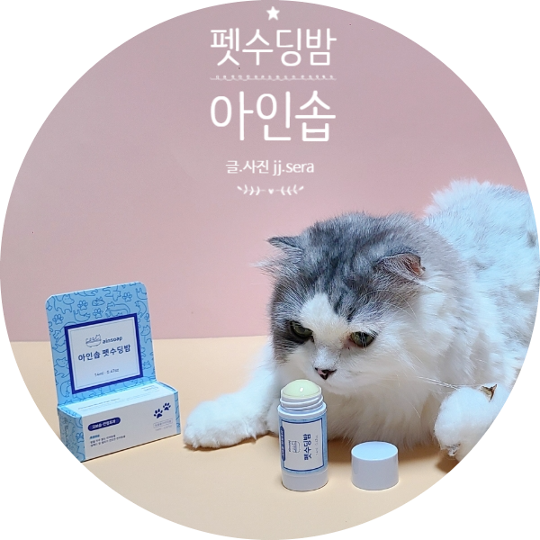  건조한 고양이발바닥 , 강아지발바닥 습진이 고민이라면? 고양이젤리밤