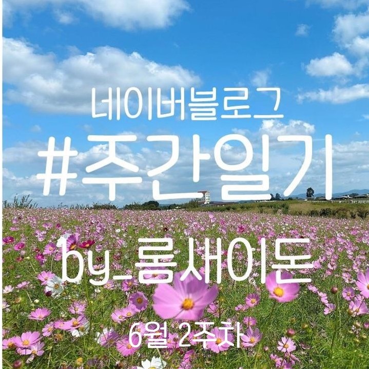  22.06.17 주간일기