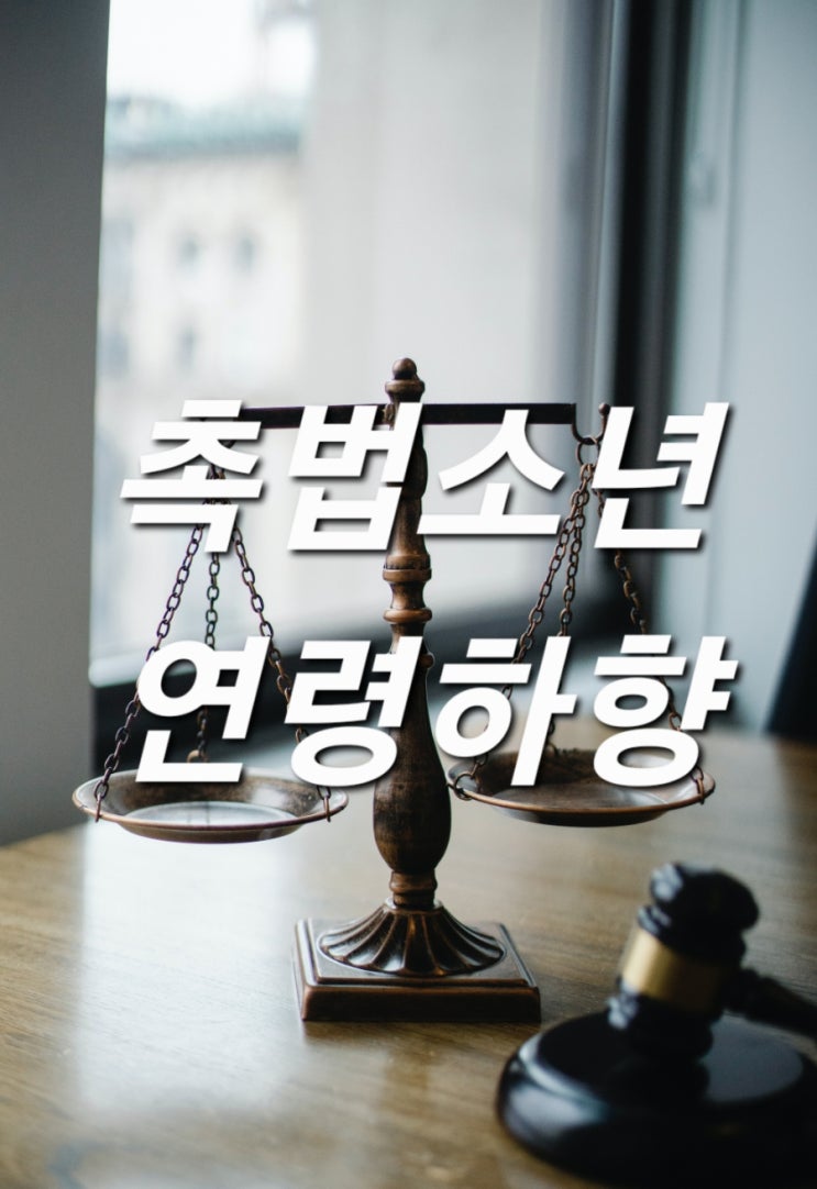  촉법소년 연령 하한