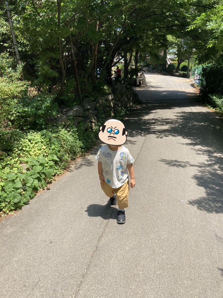  뒷산에서 놀기:) 자연물로 상 차리기