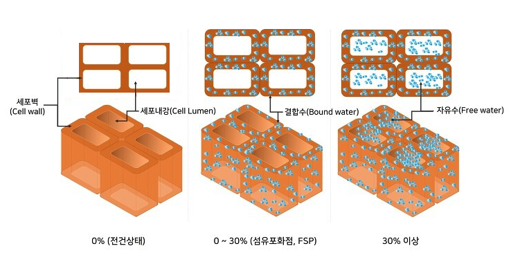 목공의 출발. 목재의 뒤틀림