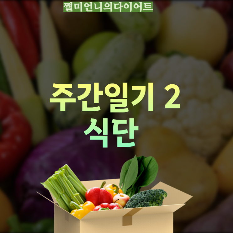  주간일기 2 다이어트식단