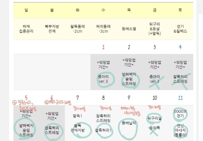 6월 주간일기, 새벽기상 + 이지은 다이어트 운동 + 기록 시작. 6월 주간일기, 새벽기상 + 이지은 다이어트 운동 + 기록 시작.