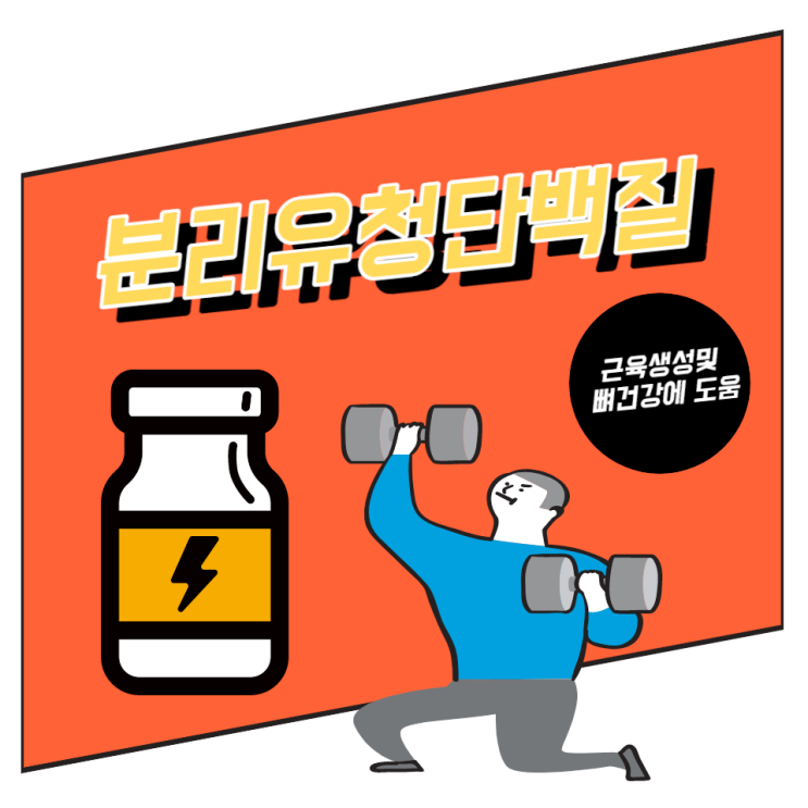 락토프리 분리유청단백질 효능 WPI 보충제로 근감소 예방 락토프리 분리유청단백질 효능 WPI 보충제로 근감소 예방