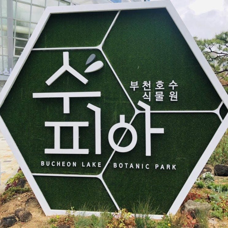 [아이와 갈만한 곳] 부천 실내 식물원 카페 수피아